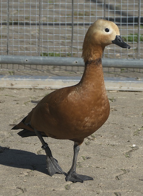 是一次常规